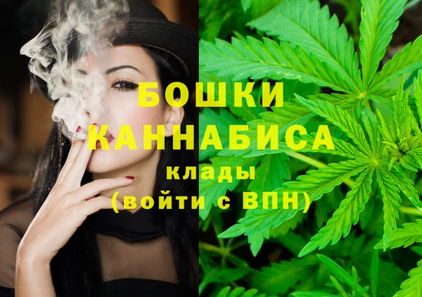 молекула духа Новодвинск