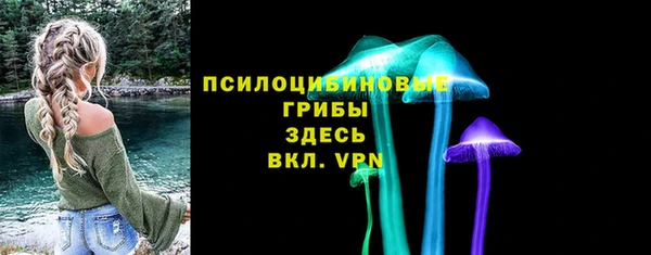 молекула духа Новодвинск