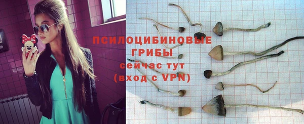 амф Нефтегорск