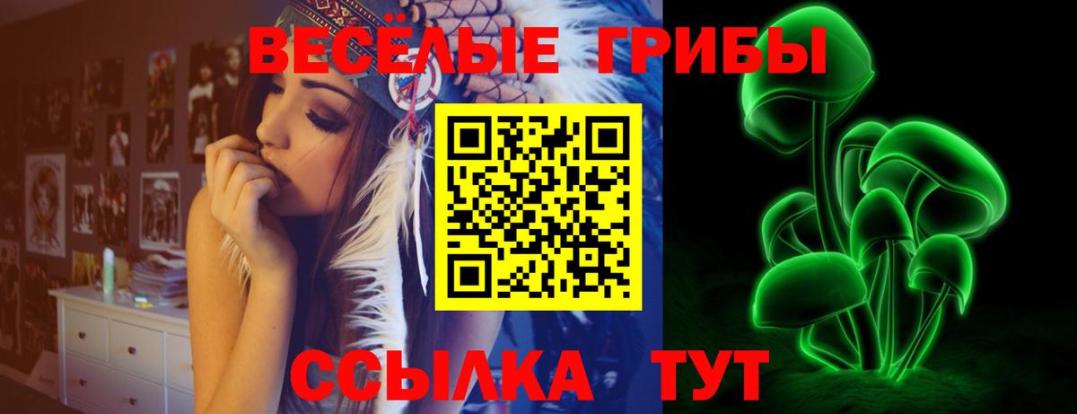Псилоцибиновые грибы Psilocybe Миллерово
